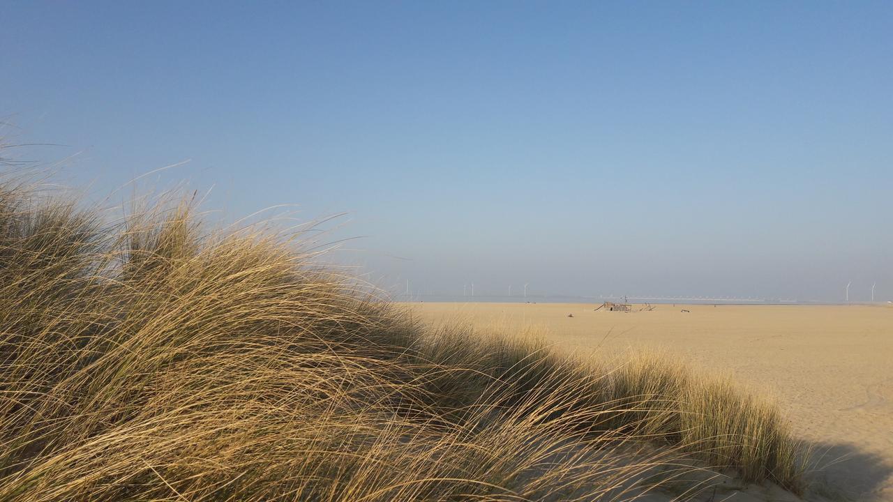 Vakantiehuizen Hofstede Elzenoord Vrouwenpolder Luaran gambar